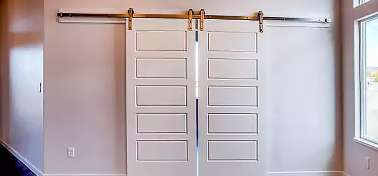 Glass Barn Door with Installation Hardware Kit Brownsville