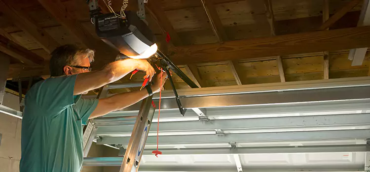 Garage Door Opener Sales and Installation Brownsville