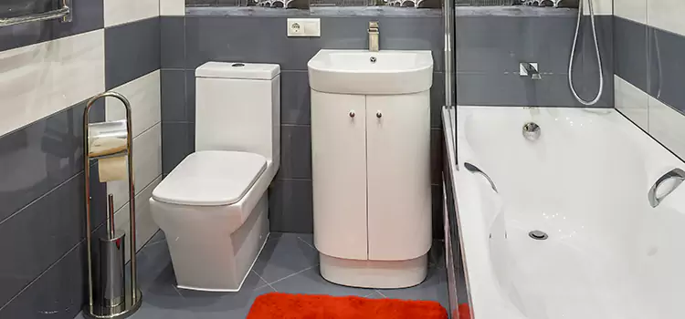 Hansgrohe Shaving Mirror Brownsville